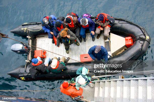 Cruise North Passengers Board Ship, Lyubov Orlova From Shore Excursion By Zodiac, Northwest Passage.