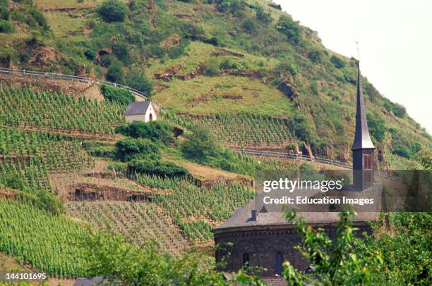 Germany, Mosel Valley, Vineyard, Church.