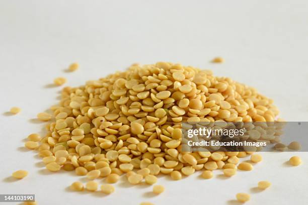 Lentils, Toor, Arhar Dal,Yellow Lentils, Lens Culinaris, India.