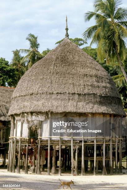 Nicobar Hut, Andaman And Nicobar Island, India.