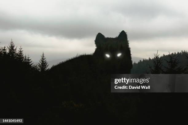 a silhouette of a giant wolf with glowing eyes. standing above a winter forest of trees. - wolfs stock pictures, royalty-free photos & images