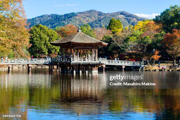 ukimido gazebo on sagi-ike pond in nara koen public park - 奈良県 ストックフォトと画像