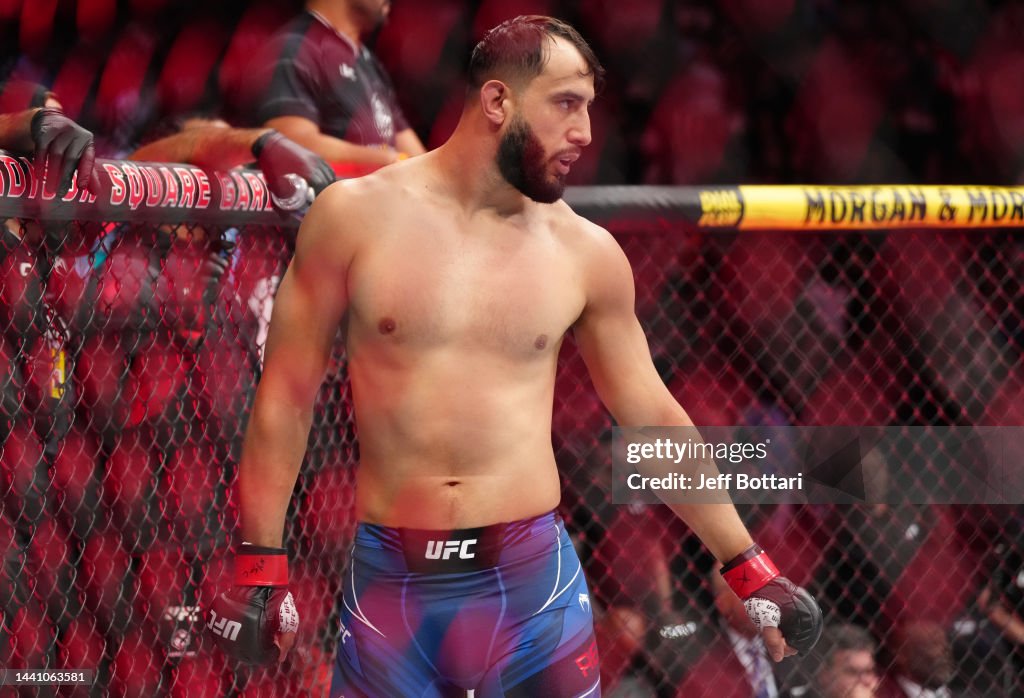 UFC 281: Reyes v Spann