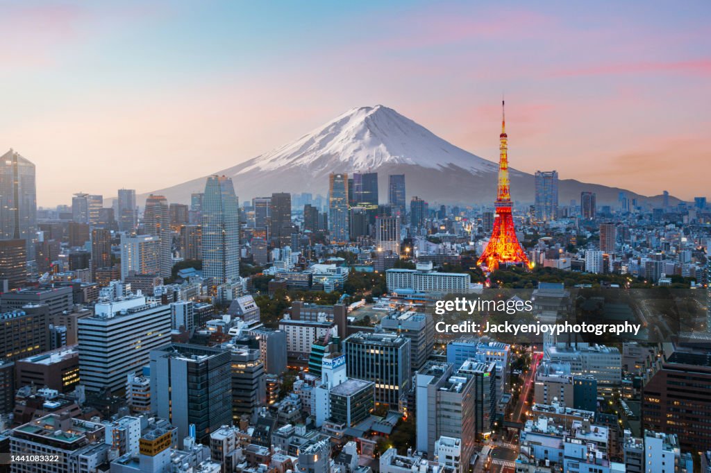 Mt. Fuji and Tokyo skyline