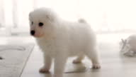 preview clip thumb
