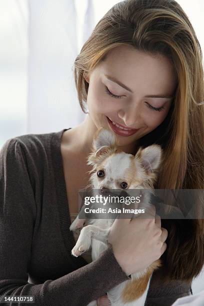 junge frau holding chihuahua - long haired chihuahua stock-fotos und bilder