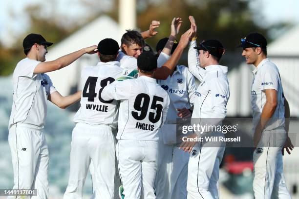 Cameron Gannon of Western Australia celebrates after taking the wicket of Nathan McSweeney of South Australia during the Sheffield Shield match...