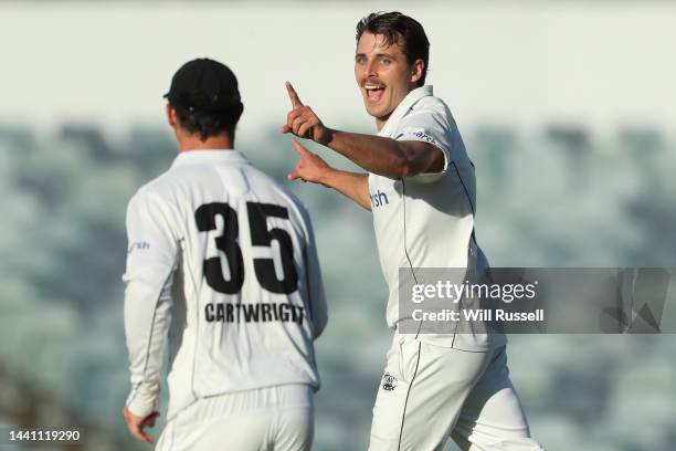 Lance Morris of Western Australia celebrates after taking the wicket of Liam Scott of South Australia during the Sheffield Shield match between...