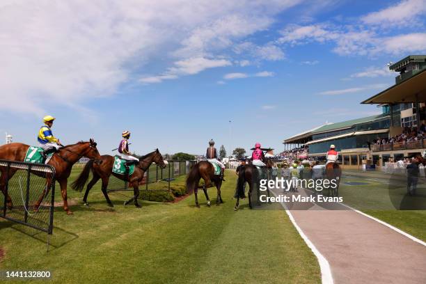 Horses return after a race during Sydney Racing at Newcastle Racecourse on November 12, 2022 in Newcastle, Australia.