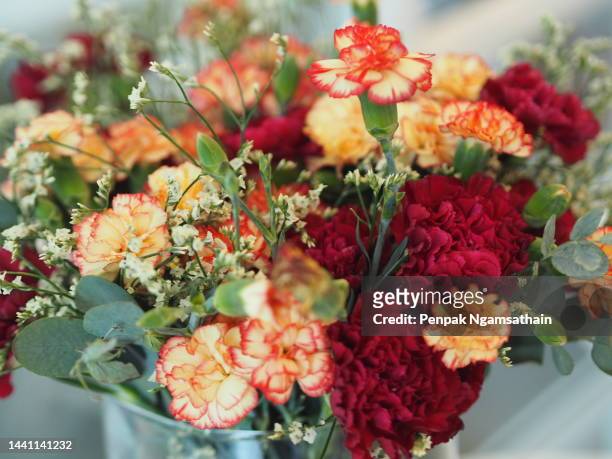 red pink yellow orange color carnation flower in water glass on the marble table, multicolor - flower arrangement carnation ストックフォトと画像