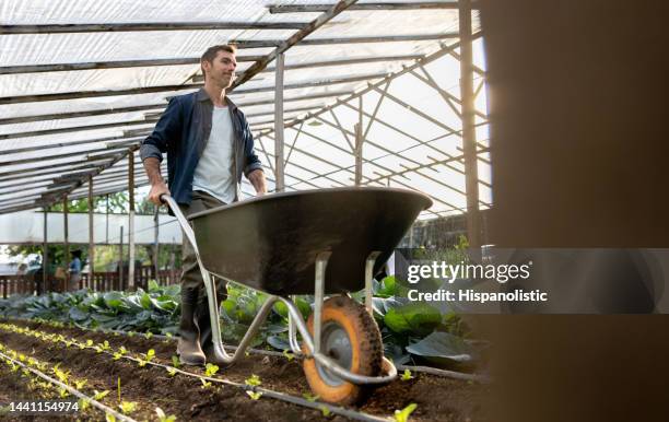 farm worker using a wheelbarrow while working in agriculture - kruiwagen stockfoto's en -beelden