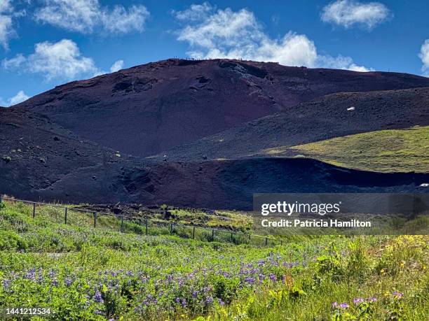 tourists on ridge of mount eldfell - heimaey fotografías e imágenes de stock