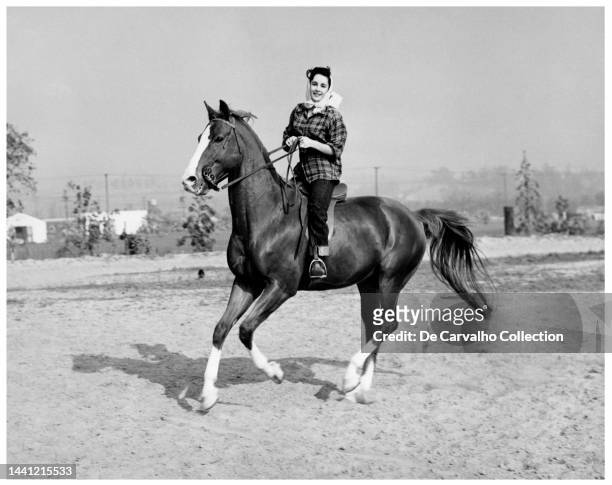 British American Actress Elizabeth Taylor at 14 years old rides her horse King Charles . She was gifted the stallion on her 13th Birthday by MGM...