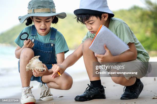 in class, an outdoor excursion to the beach. the teacher is teaching the children about the animals that live on the beach and the sea. - socorro island imagens e fotografias de stock