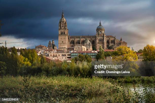 new cathedral, salamanca,  castile and leon, spain - salamanca stock pictures, royalty-free photos & images