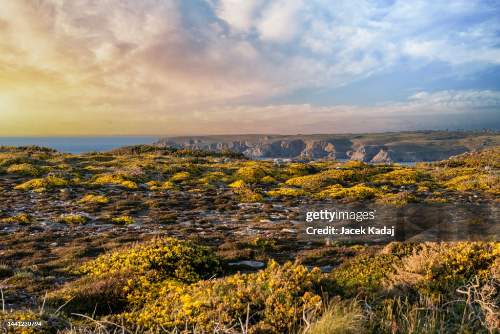 Pointe du Van landscape