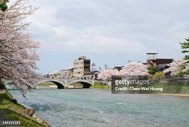 cherry blossom at kanazawa - kanazawa stock pictures, royalty-free photos & images