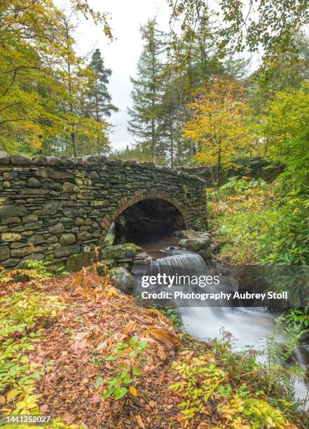 fawe park - keswick - fotografias e filmes do acervo