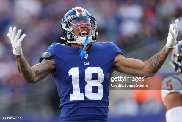 Isaiah Hodgins of the New York Giants reacts after completing a catch during the third quarter of the game against the Houston Texans at MetLife...