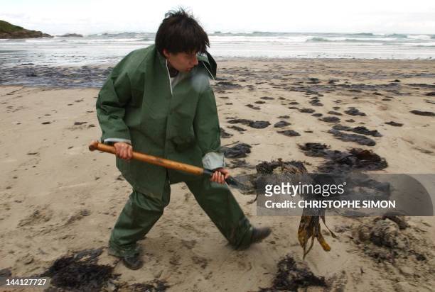 Spanish Navy soldier cleans a beach polluted by heavy fuel oil leaking from the Prestige tanker, 19 November 2002 in Cayon, 30 kilometers south of La...