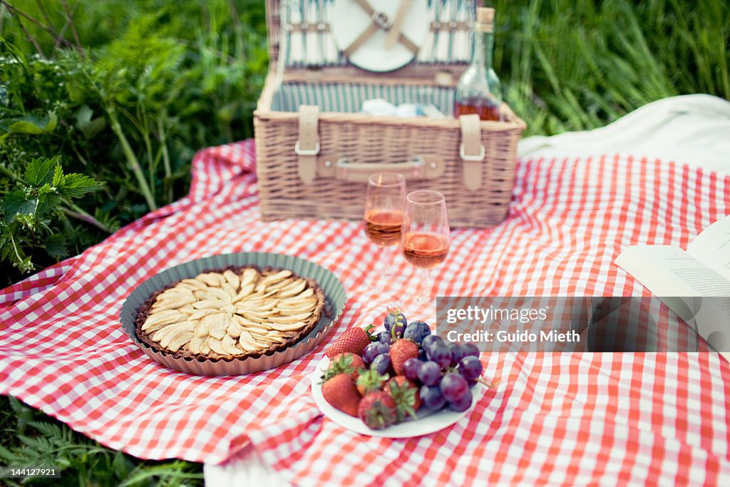 Picnic in meadow with apple tarte