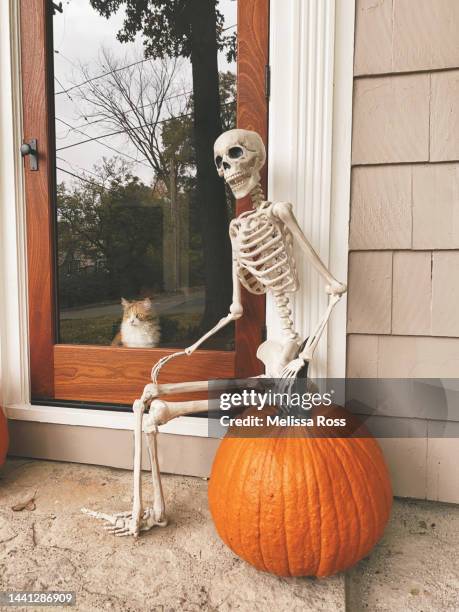 cat looking out a door at a skeleton. - cat skeleton 個照片及圖片檔