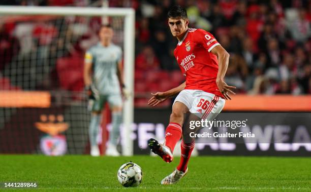 Antonio Silva of SL Benfica in action during the Liga Portugal Bwin match between SL Benfica and Gil Vicente at Estadio da Luz on November 13, 2022...