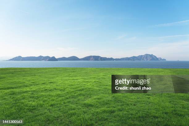 lawn by the sea - lush grass stock pictures, royalty-free photos & images