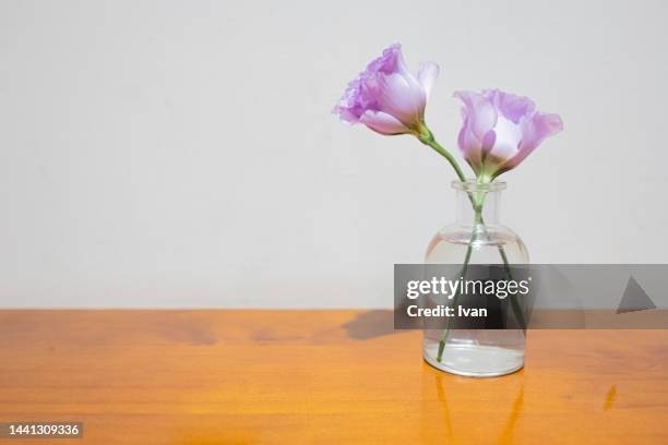 closeup of purple flower on wooden table against painted white wall - dying houseplant stock pictures, royalty-free photos & images