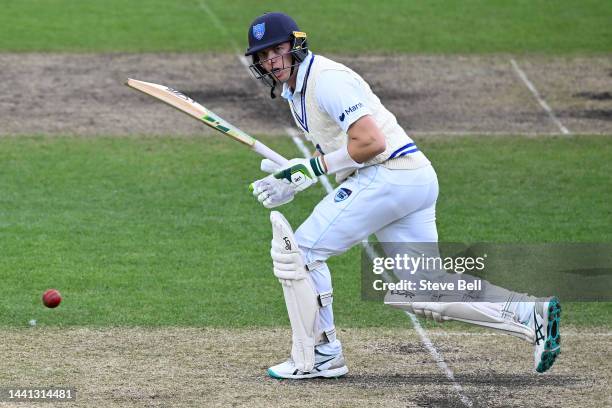 Baxter Holt of the Blues bats during the Sheffield Shield match between Tasmania and New South Wales at Blundstone Arena, on November 14 in Hobart,...