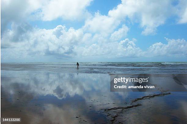 sky reflection - mata de são joão bildbanksfoton och bilder