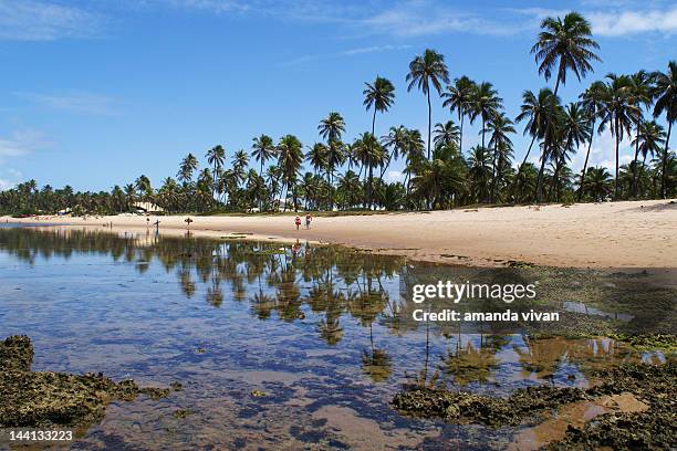 brazillian paradise - forte beach stock pictures, royalty-free photos & images