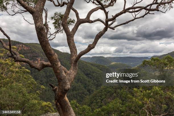 38 Grose River Stock Photos, HighRes Pictures, and Images Getty Images