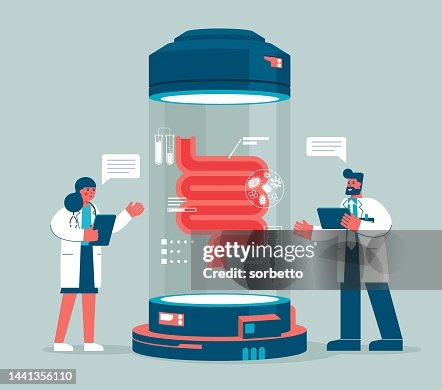 Digestive system Digestive system