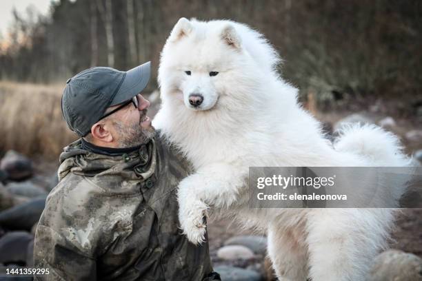 man walking with samoyed dog - big hug stock pictures, royalty-free photos & images