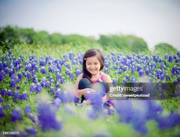 girl in bluebonnet field - grapevine texas stock pictures, royalty-free photos & images