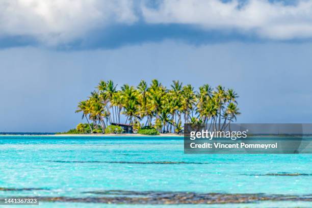 rangiroa atoll - beautiful underwater scene stockfoto's en -beelden