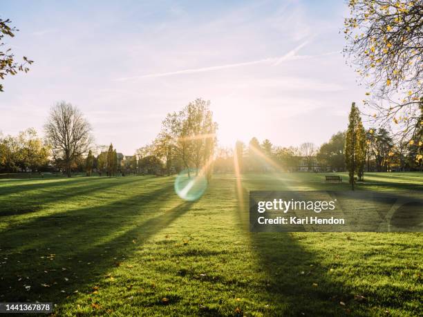 an autumn view of a london park at sunset - park stock-fotos und bilder