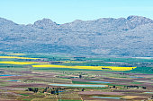 Yellow canola fields are visible from Gydo Pass