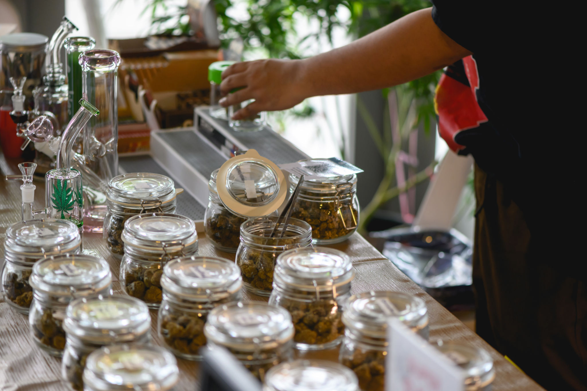 cannabis shop interior