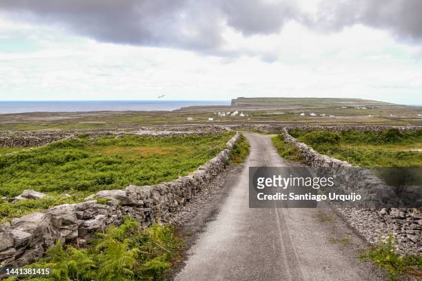 rural path on inishmore - aran islands imagens e fotografias de stock
