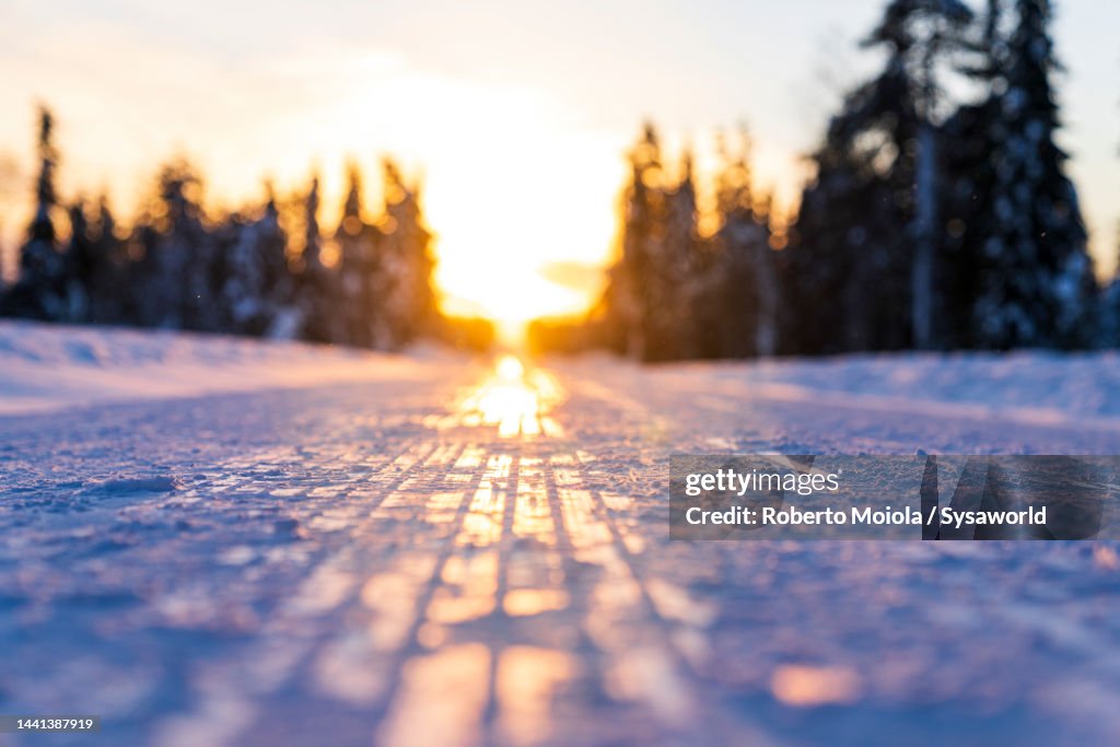 Frozen road along a snowy forest at sunset