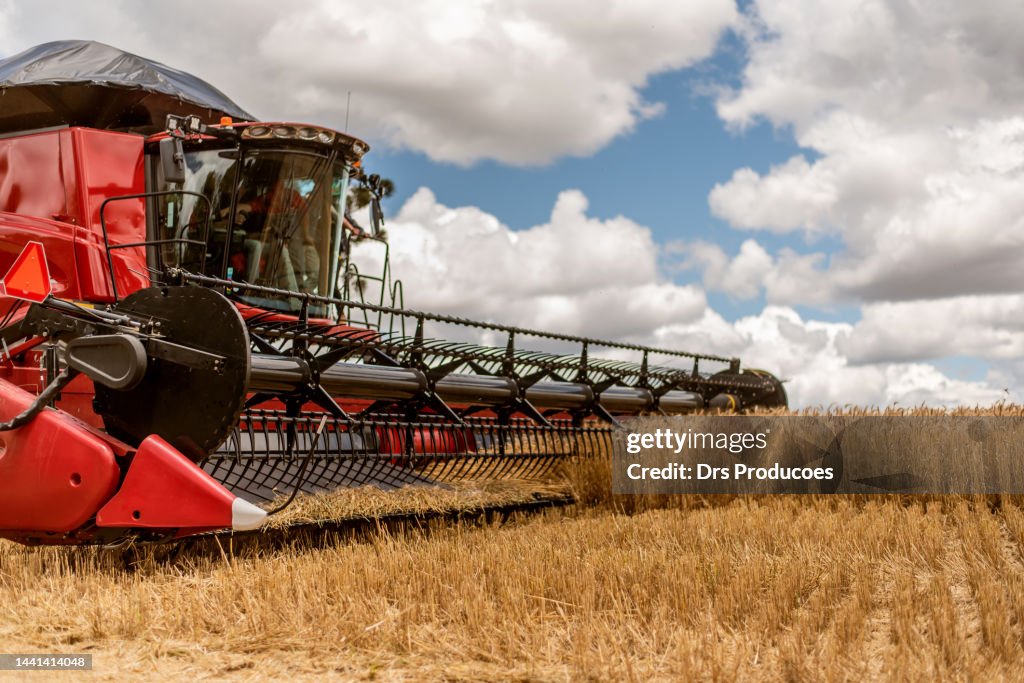 Máquina agrícola cosechando trigo