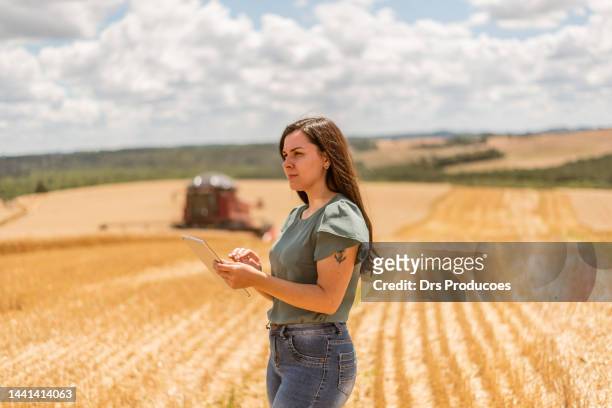 mulher agrônoma que usa o comprimido digital no campo de trigo - agricultura - fotografias e filmes do acervo