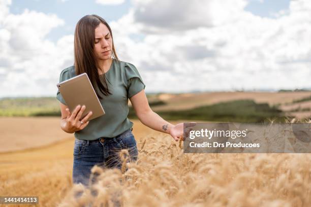 mulher agrônoma que usa o comprimido digital no campo de trigo - agronomist - fotografias e filmes do acervo