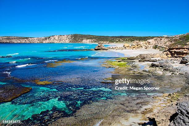 kangaroo island - kangaroo island australia stock pictures, royalty-free photos & images