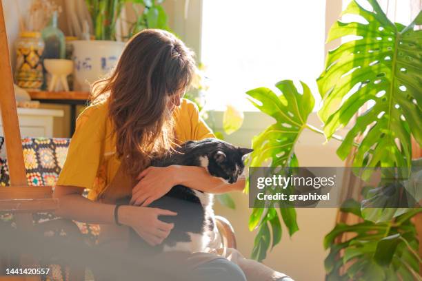 woman embracing her cat and sitting on the armchair - cat lady stock pictures, royalty-free photos & images