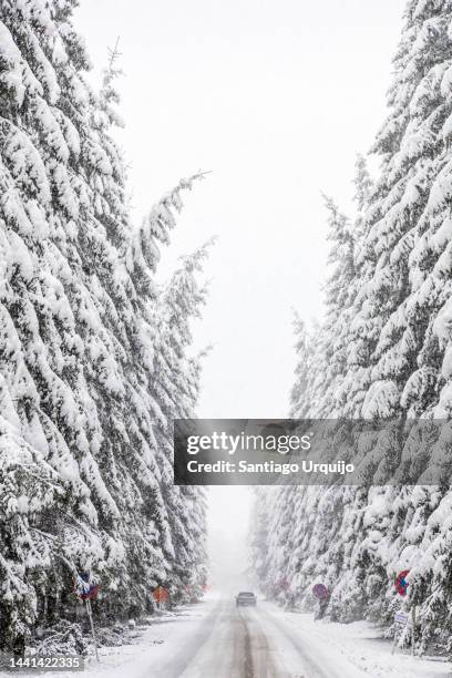 car driving on a snowed road - route sapin neige photos et images de collection