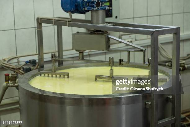 cheese making at the factory - stirring stock-fotos und bilder