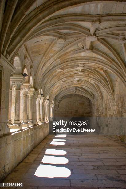 santo estevo monastery cloister - chiostro foto e immagini stock